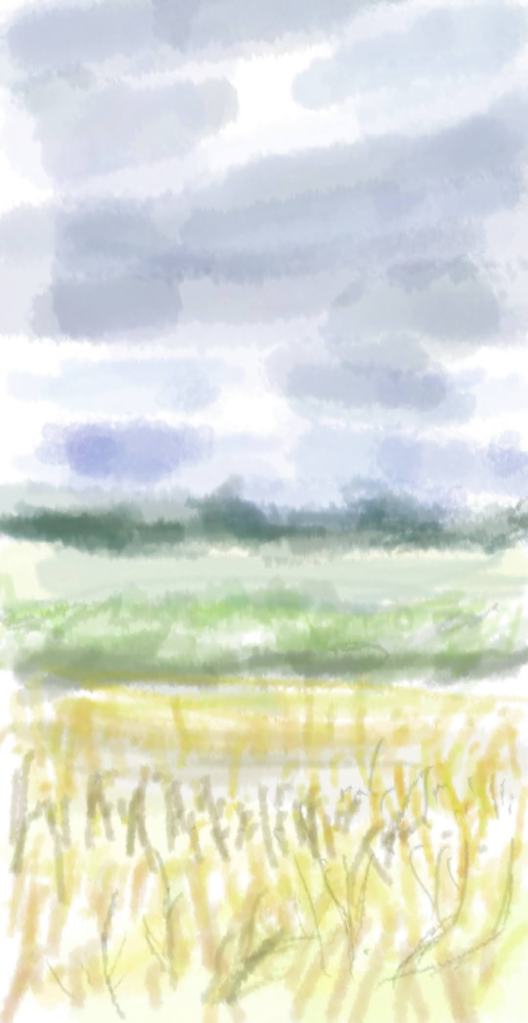 Goose Barn, Dorset | Digital Art | 350 x 210mm | £150